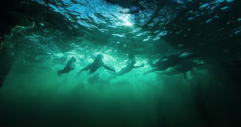 IRONMAN Western Australia Asia-Pacific Championship gallery image