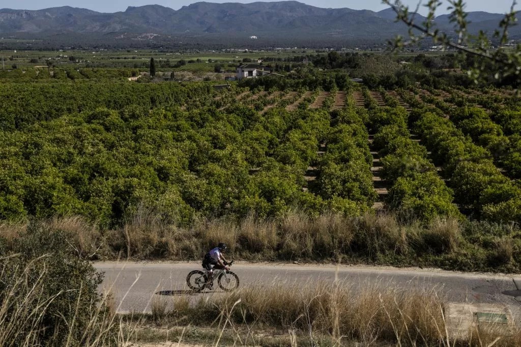 IRONMAN 70.3 Valencia gallery image