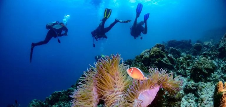 5150 Samal gallery image
