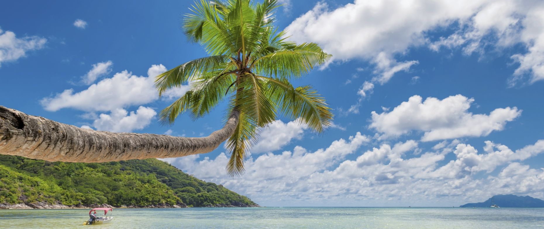 Oceanman Goa - India 2025 event banner
