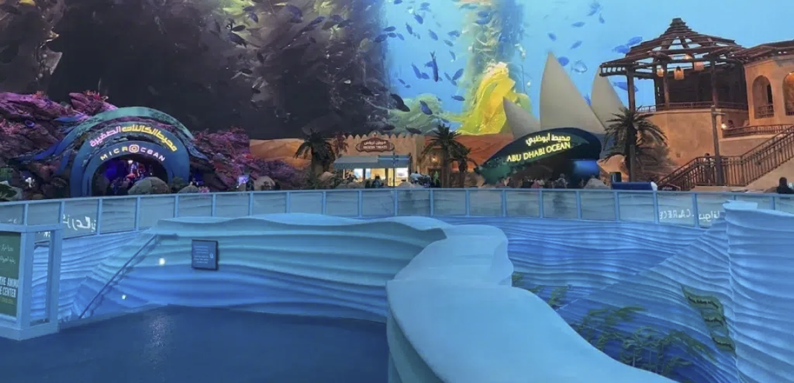 SeaWorld Dolphin Run event banner