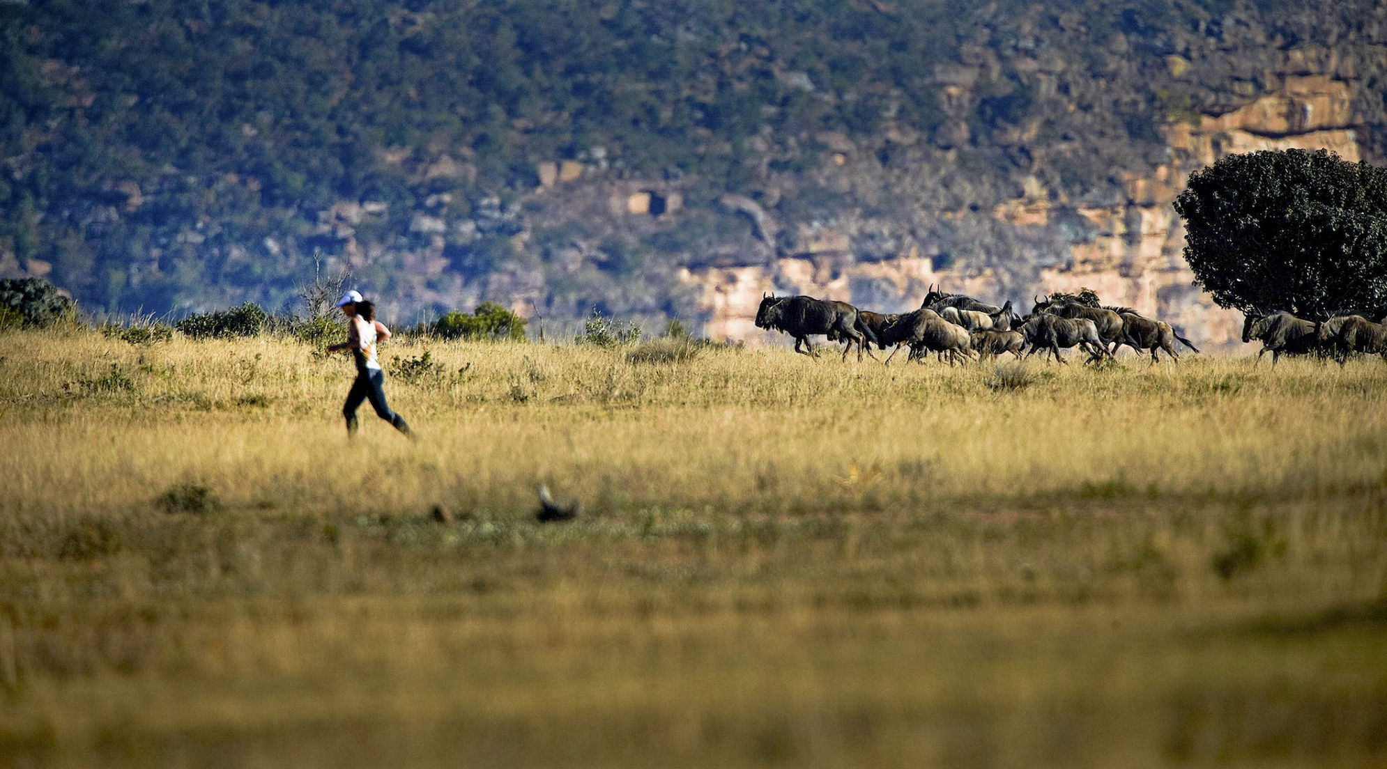 Big Five Marathon event banner