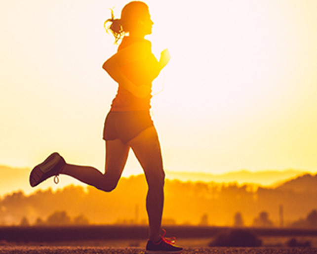 Skechers Half Marathon 2025-11-30 gallery image