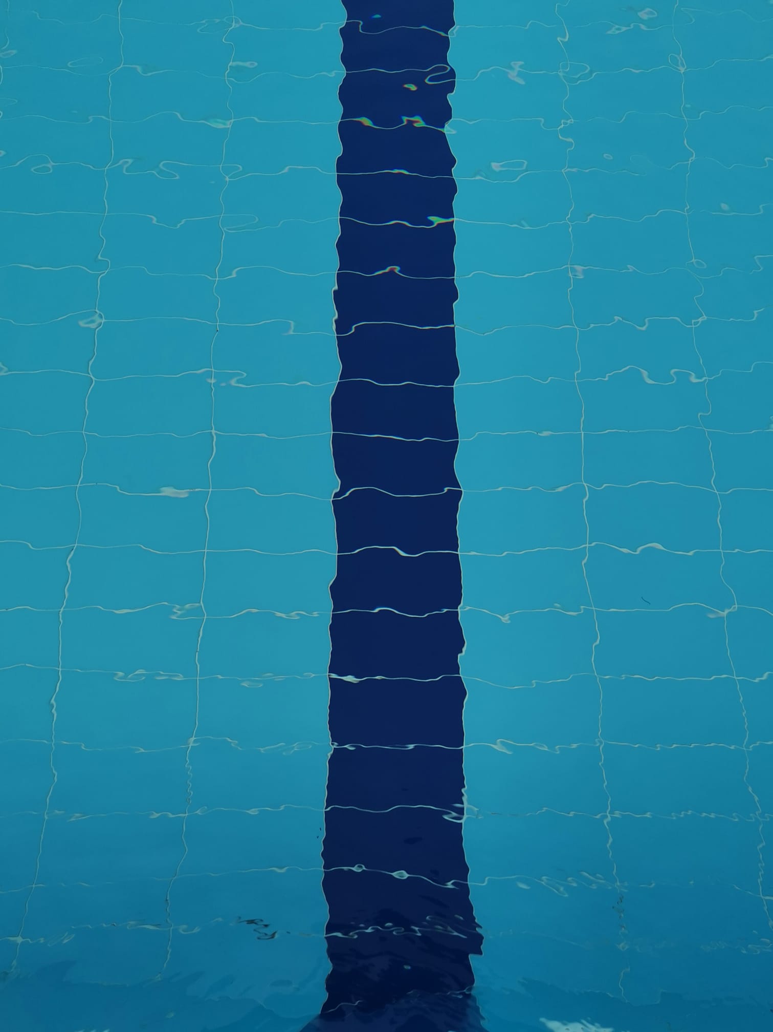 Sawadi Wild Swim event banner