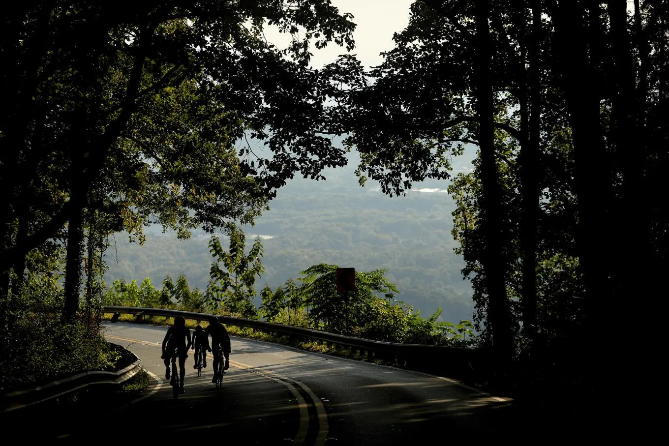 IRONMAN 70.3 World Championship gallery image