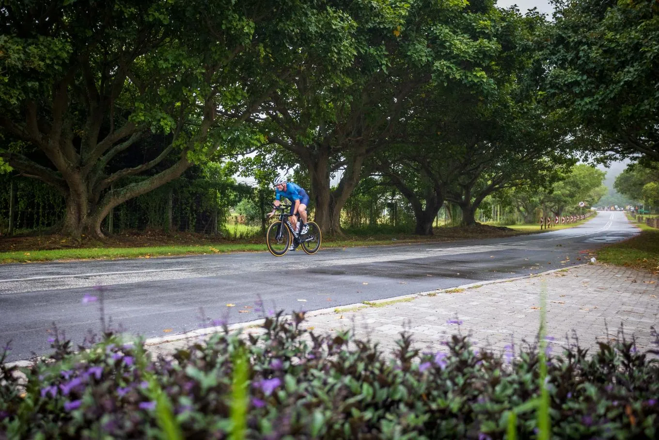 IRONMAN 70.3 Nelson Mandela Bay African Championship gallery image