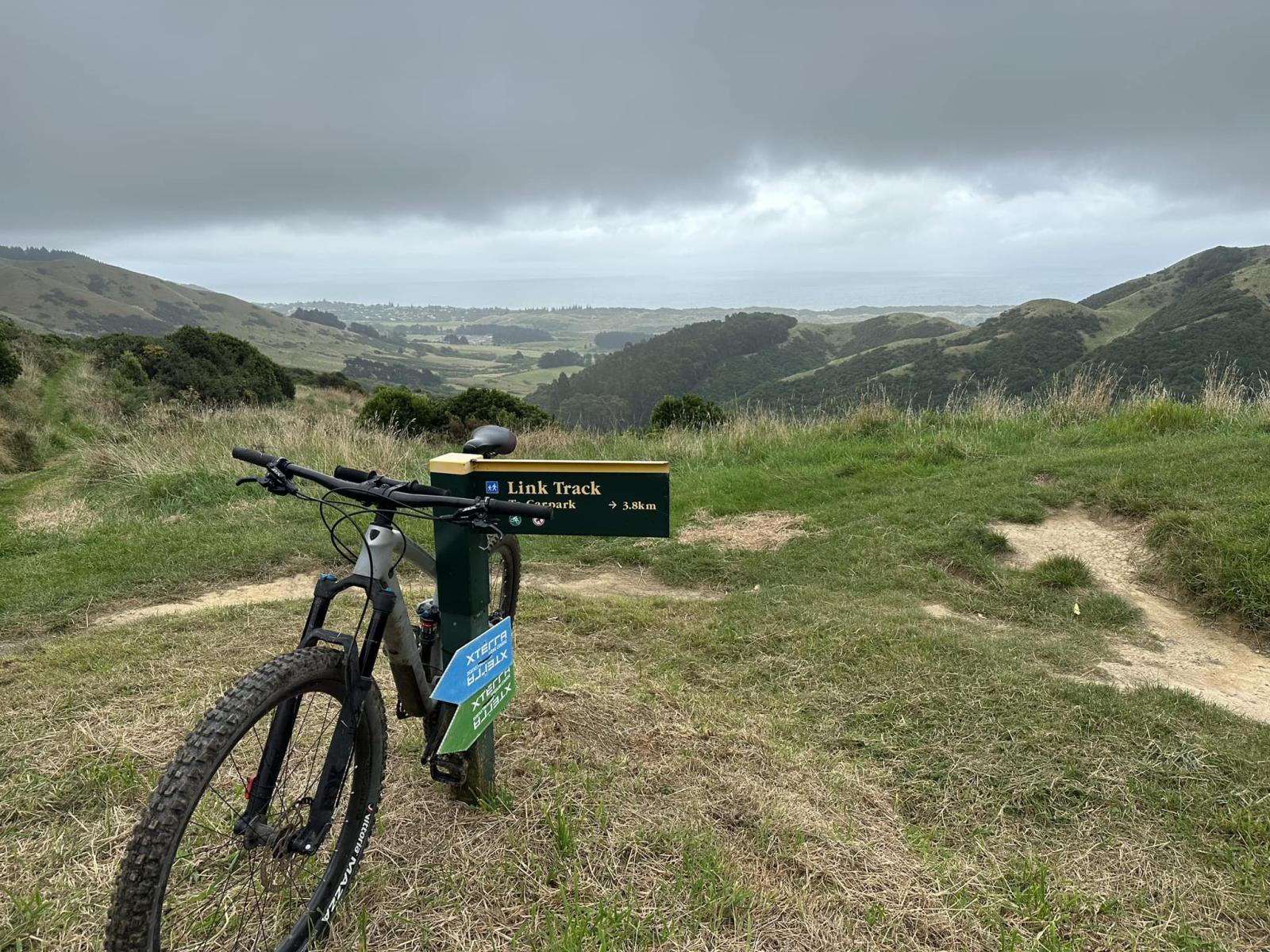 XTERRA Wellington Festival Run/Marathon gallery image
