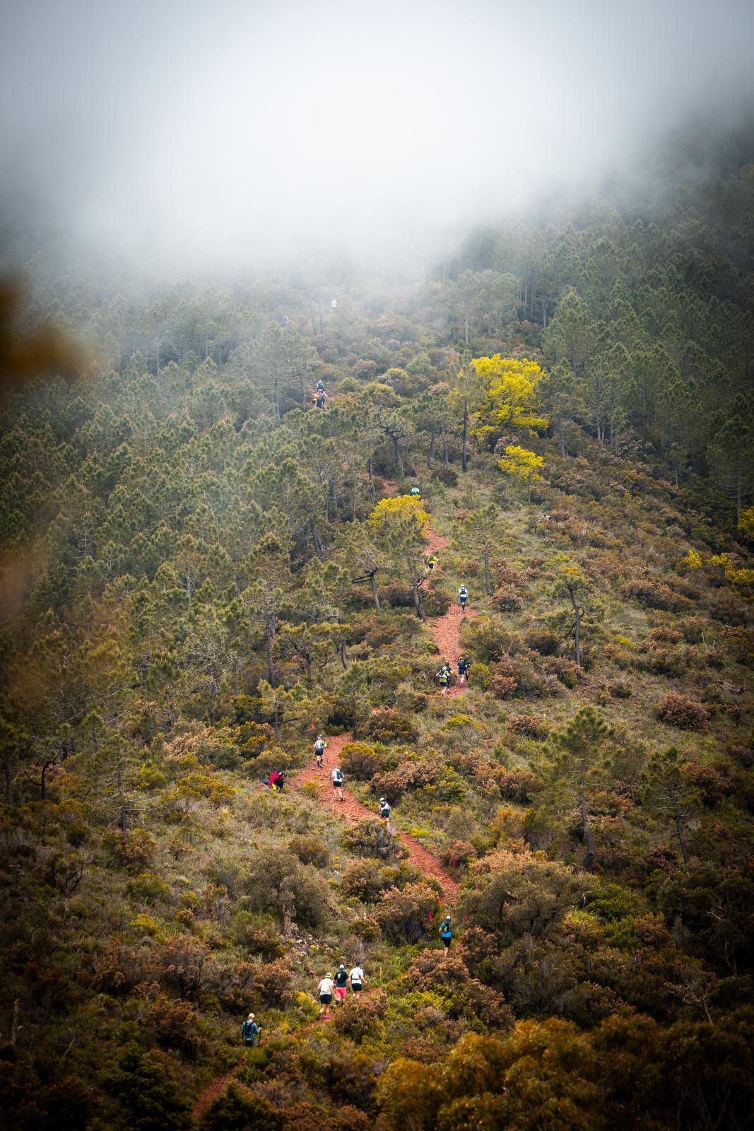 XTERRA Trail des Balcons d’Azur Mandelieu gallery image