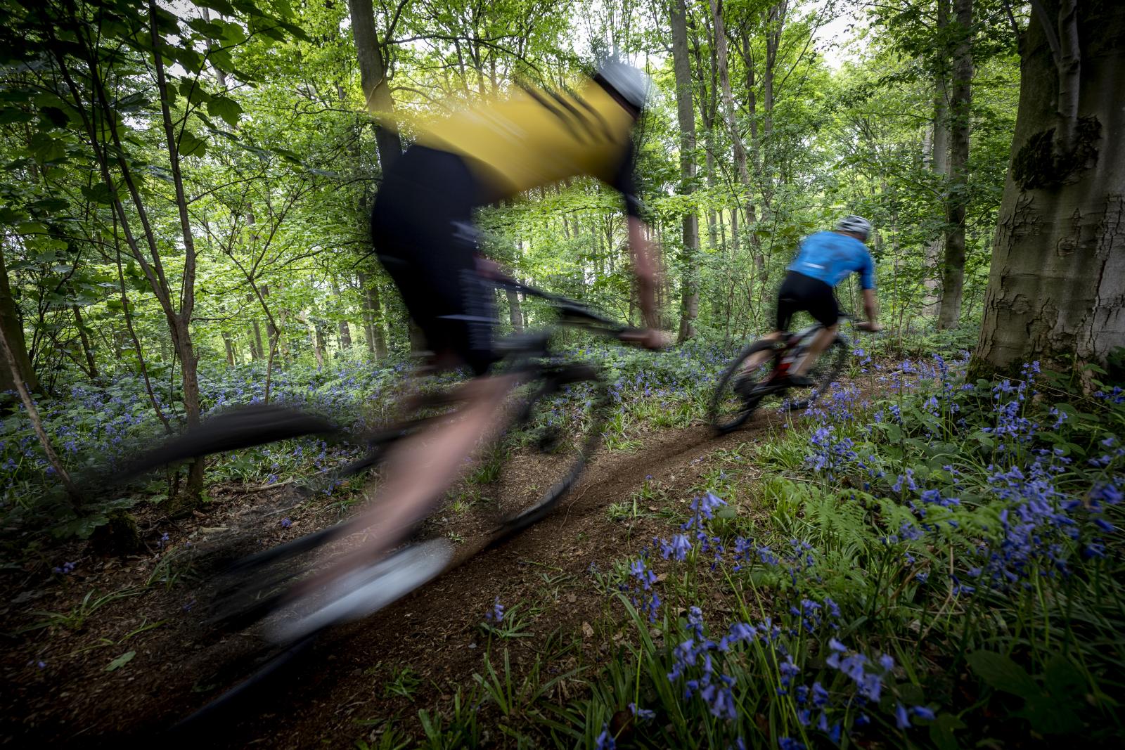 XTERRA Weston Park Triathlon gallery image