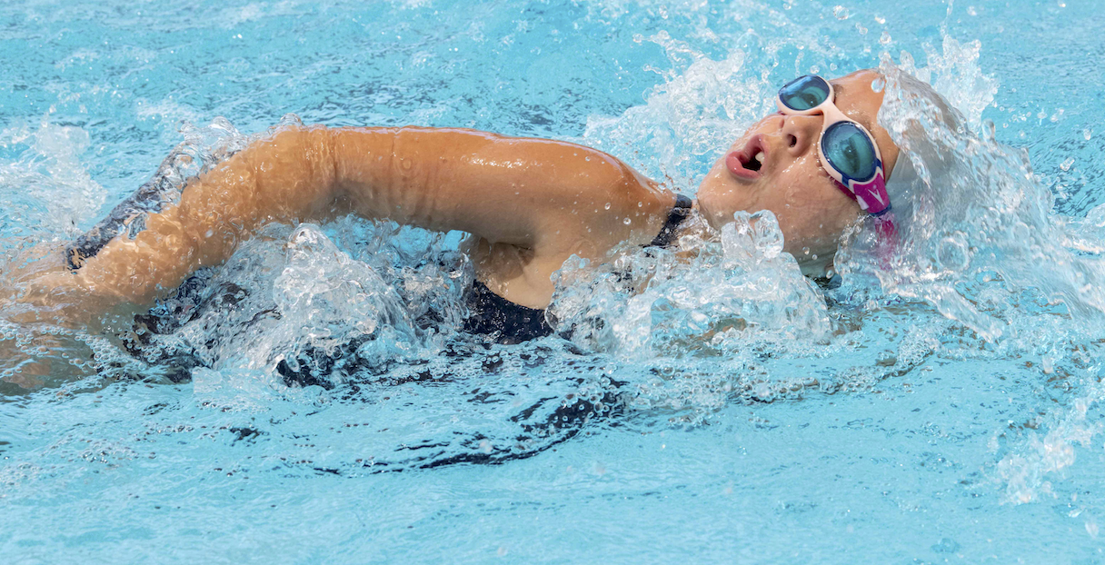 Hamilton Aquatics banner
