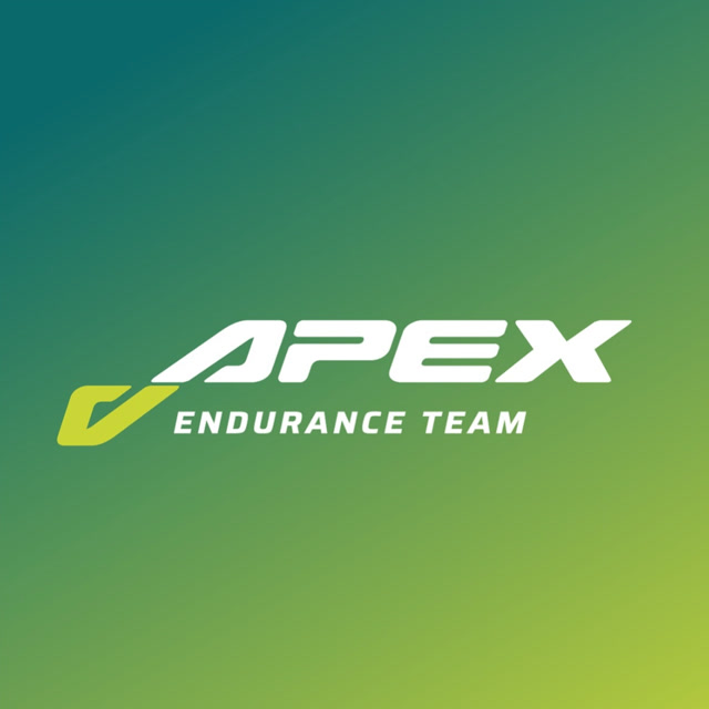 Apex Endurance logo